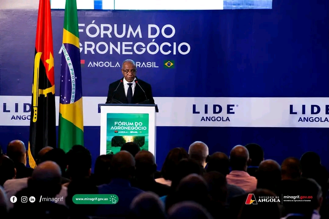 Angola prepara 800 mil hectares para investimento agrícola brasileiro