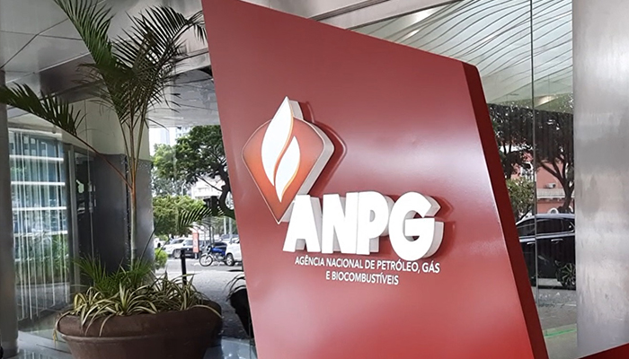 ANPG fecha 2025 com activos a crescer 13,7%mas resultado líquido recua