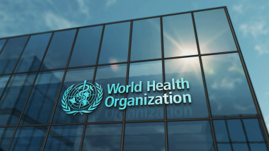 Produção de tabaco cresce em África e OMS alerta para impactos na saúde e no ambiente