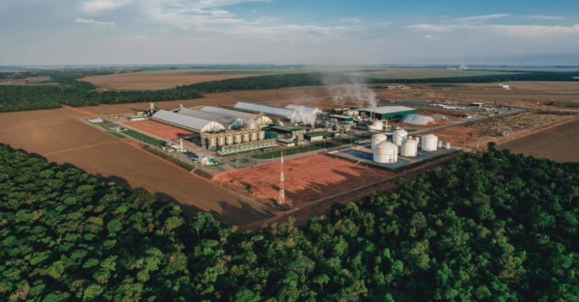 Angola prepara lei para regular biocombustíveis e aproximar petróleo da agricultura