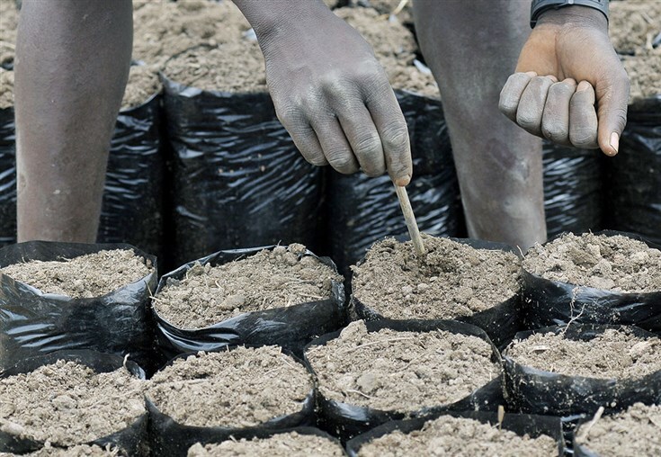 BAD vai emprestar 210,4 milhões USD a Angola para impulsionar o sector agrícola na região leste, projecto que promete criar 7.500 empregos directos