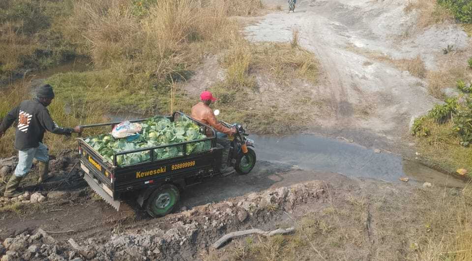 Estradas destruídas travam agricultura em Seles, Cassongue e Amboiva no Kuanza Sul