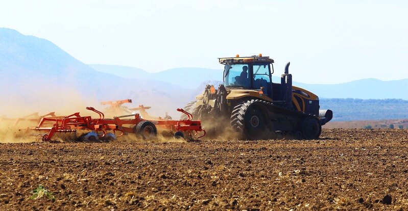 Desconhecimento trava expansão do seguro agrícola em Angola