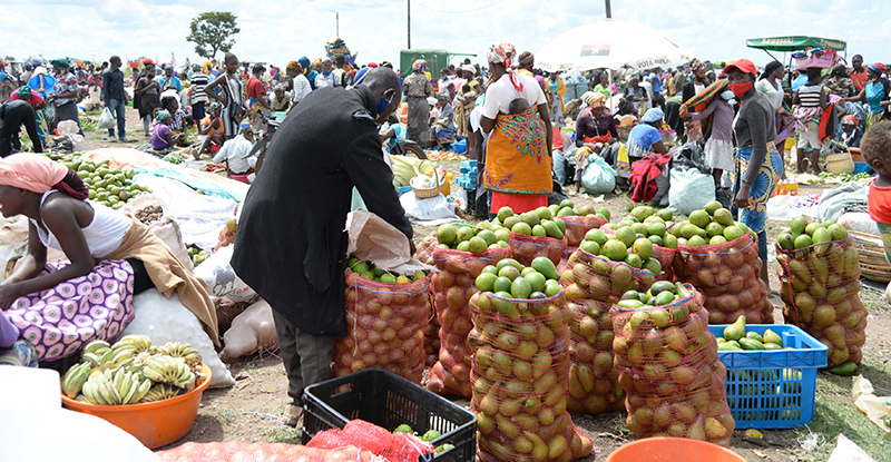 PREI e PRODESI  (quase) desapareceram  do mapa em 2025