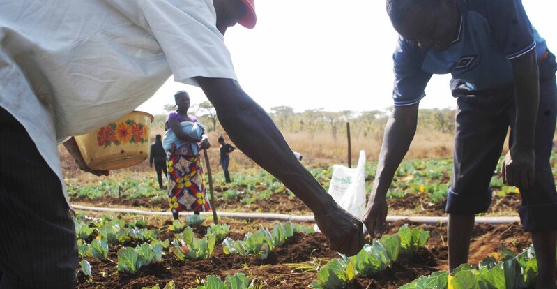 Angola continua sem   ser capaz de transformar  a agricultura em riqueza