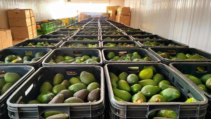 Cadeia de frio serve de ensaio à futura Plataforma Logística da Caála